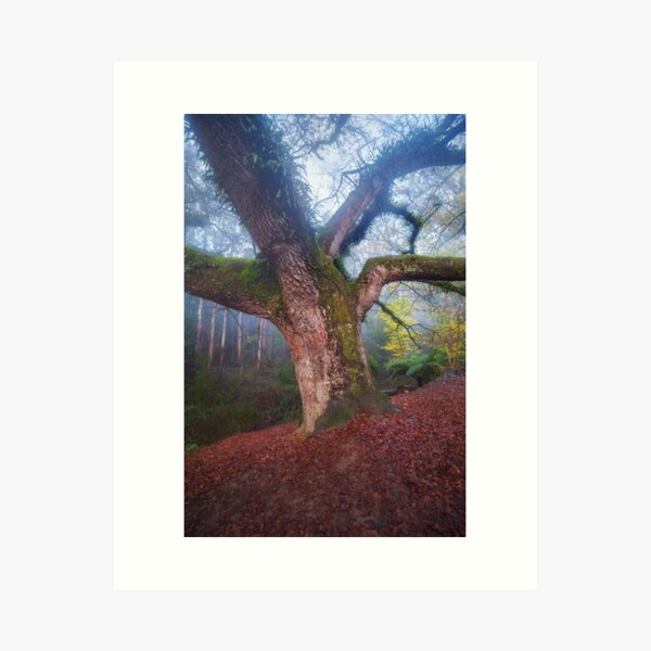 Item preview, Whispers of Time designed and sold by BFPHOTO.