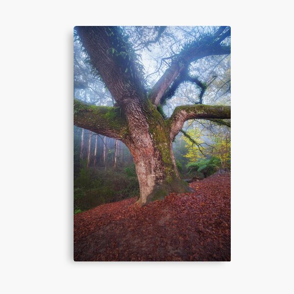 Item preview, Whispers of Time designed and sold by BFPHOTO.