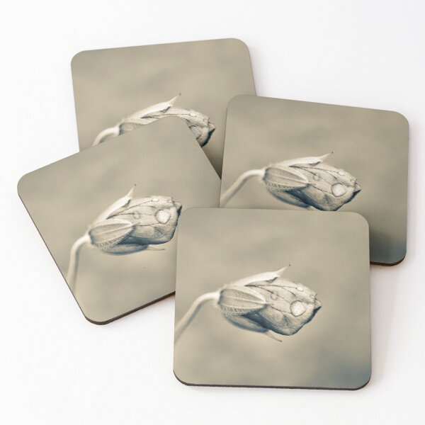 Item preview, Monochrome Flower Bud designed and sold by Tanya C  Smith.