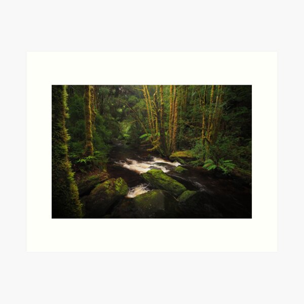Item preview, Enchanted Forest designed and sold by BFPHOTO.