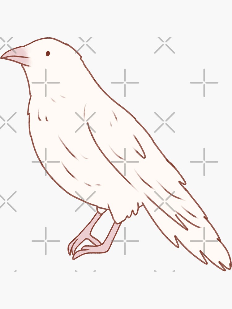 20 Easy Crow Drawing Ideas - How To Draw Crow - Blitsy