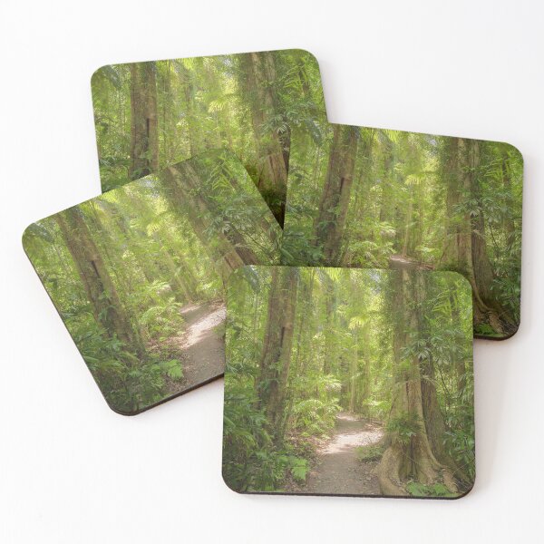 Item preview, Dorrigo Rainforest Walk designed and sold by BFPHOTO.