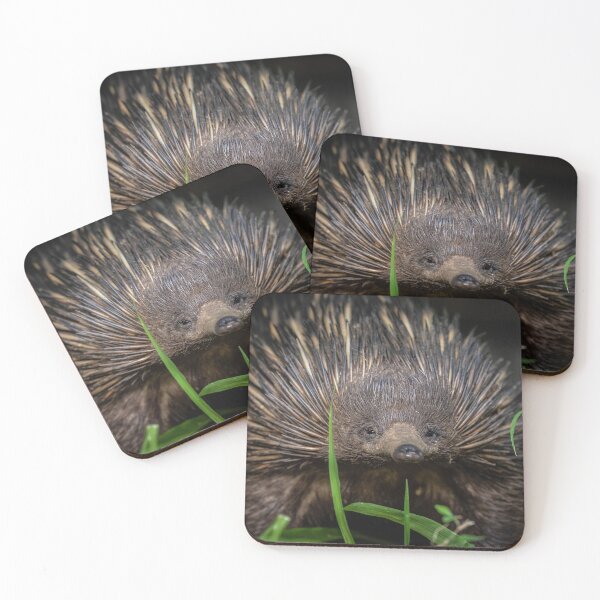 Item preview, Echidna Portrait designed and sold by Kurt Petersen.
