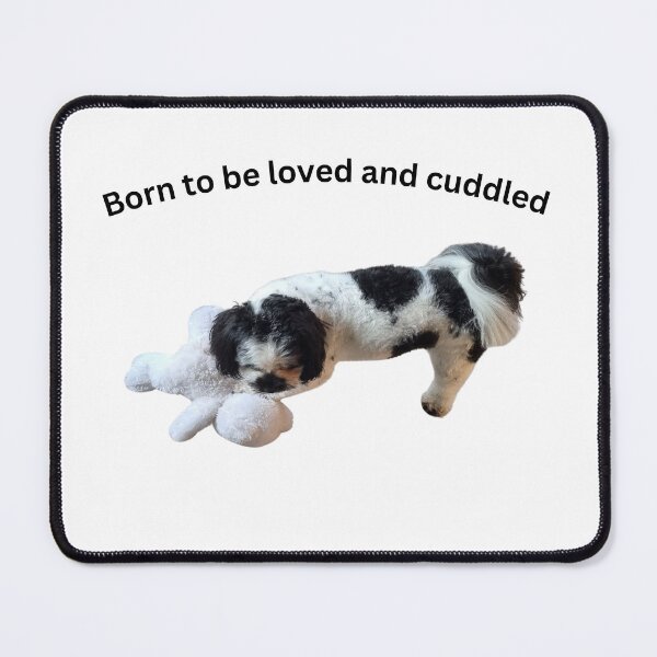 Item preview, Born to be loved and cuddled Shiatzu x poodle  designed and sold by Debsgiftware Ward.