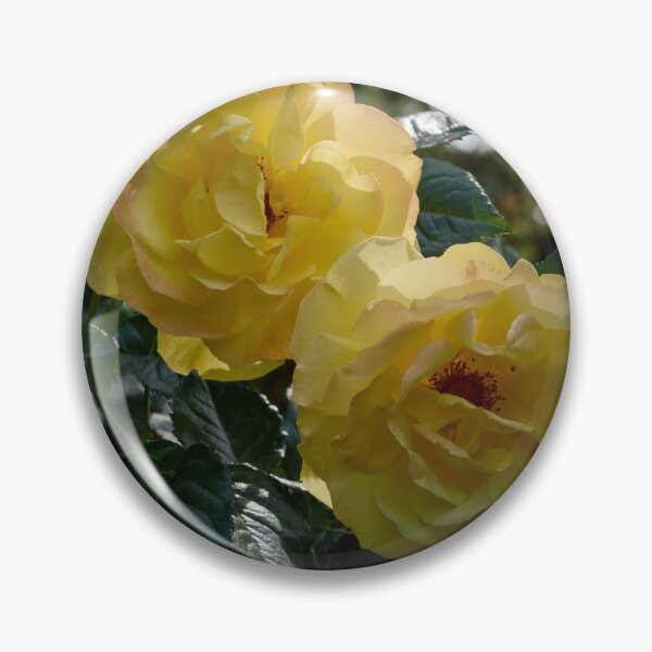 Item preview, Deep yellows. Rosegarden series designed and sold by Jouko Lehto Photography.