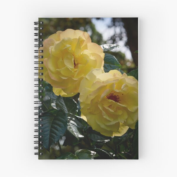 Item preview, Deep yellows. Rosegarden series designed and sold by Jouko Lehto Photography.