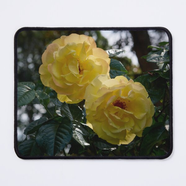 Item preview, Deep yellows. Rosegarden series designed and sold by Jouko Lehto Photography.