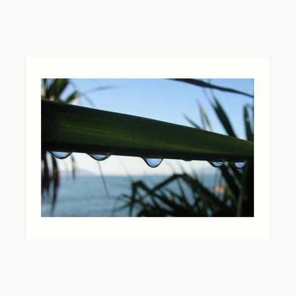 Pandanus Raindrop Art Print