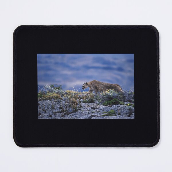 Item preview, First Encounter 	 designed and sold by webbobnpg87.