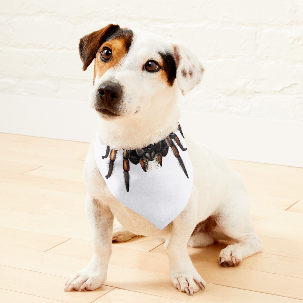 Item preview, Pet Bandana designed and sold by ArtfulPlay.