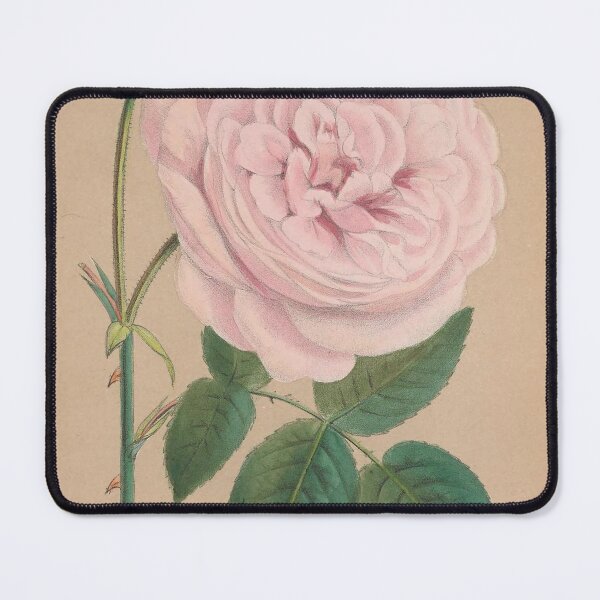 Item preview, Vintage pink rose digital print designed and sold by dcrc.