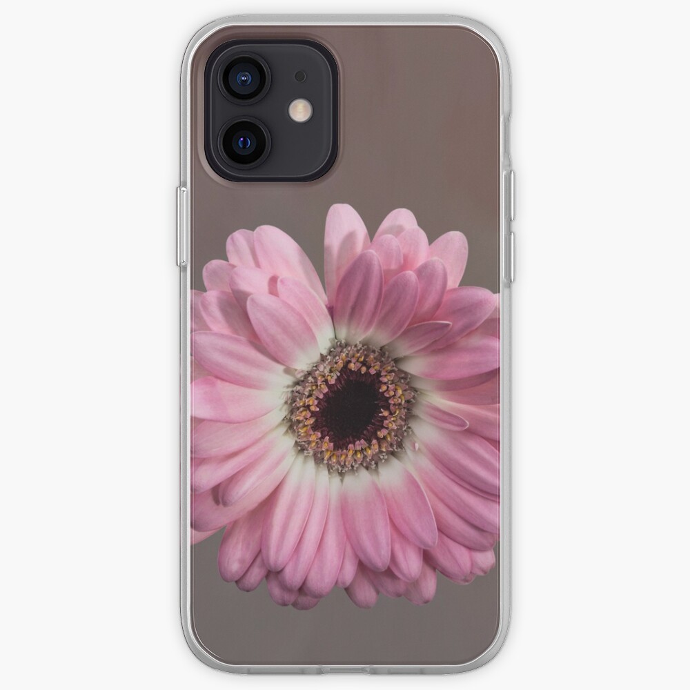 Single pink Gerbera Flower iPhone Case & Cover