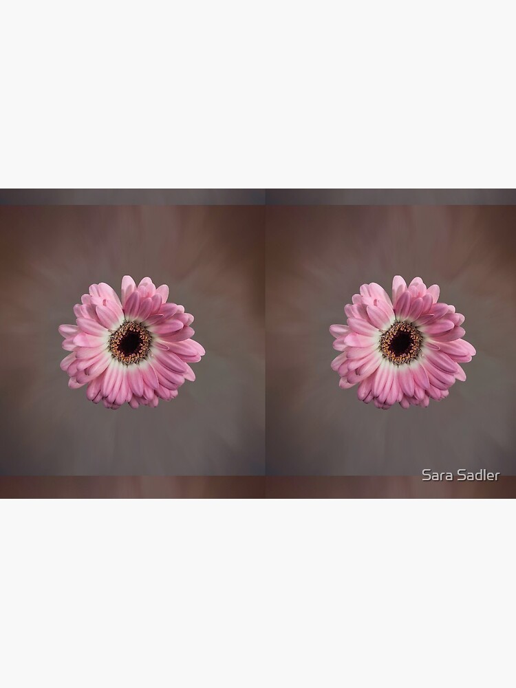 Single pink Gerbera Flower by sadler2121
