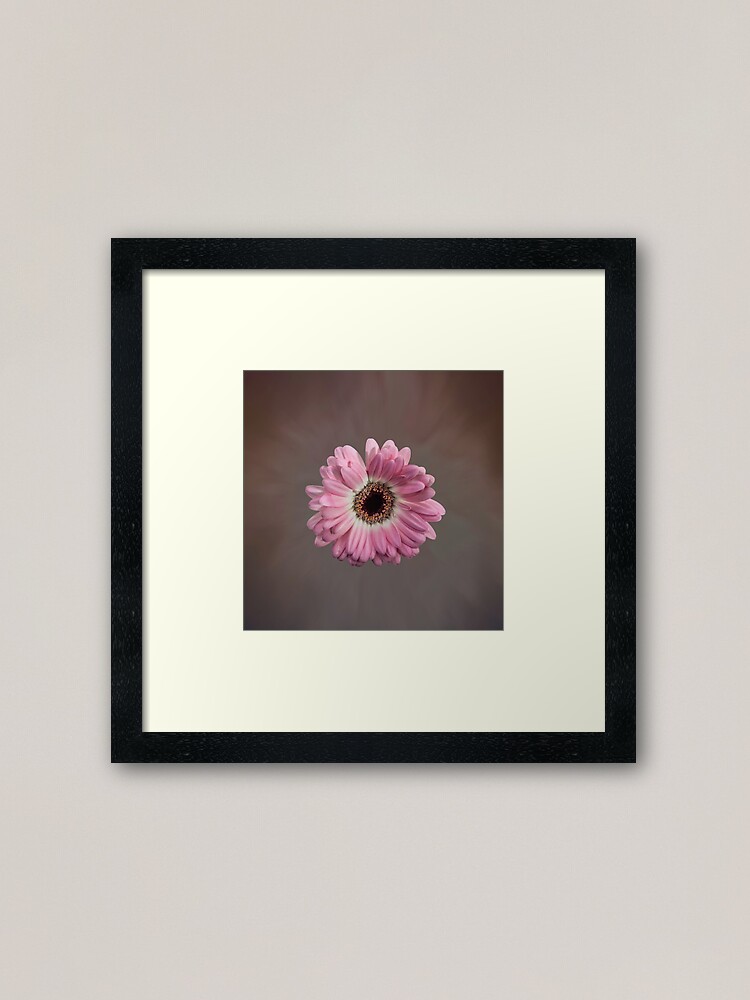 Alternate view of Single pink Gerbera Flower Framed Art Print