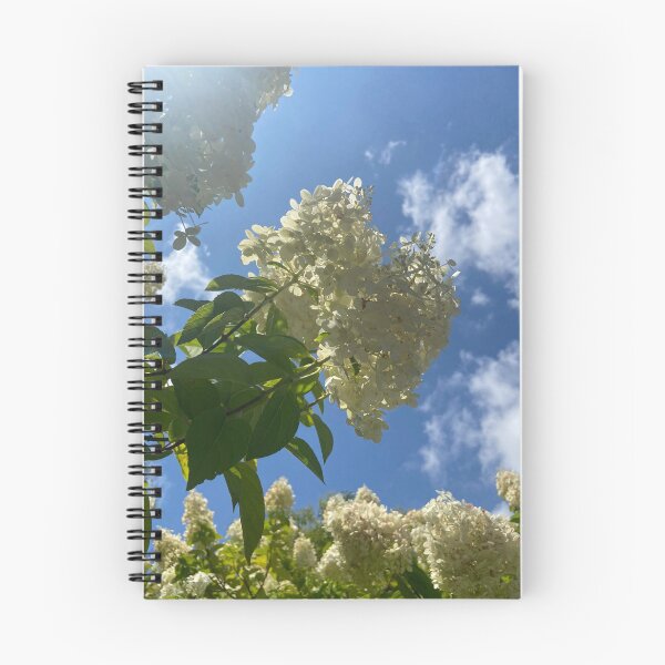 Item preview, Sun Soaked Hydrangeas  designed and sold by EmmelineKlatt.