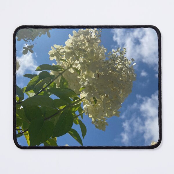 Item preview, Sun Soaked Hydrangeas designed and sold by EmmelineKlatt.