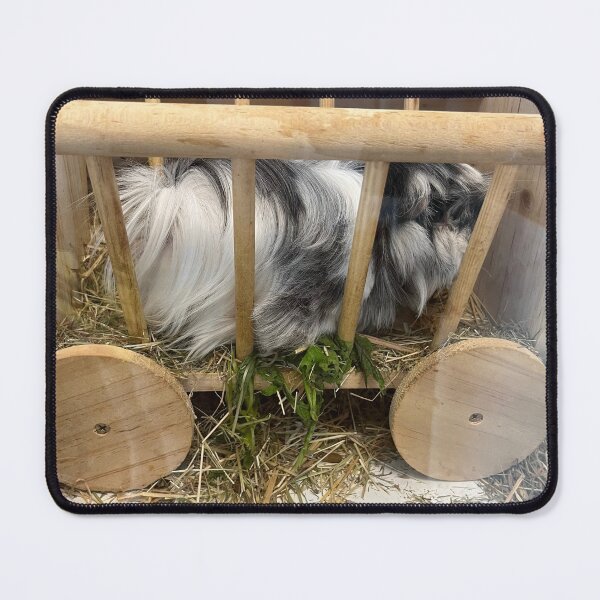 Item preview, Guinea pig tofu in the hay rack designed and sold by AlpacaSparkles.