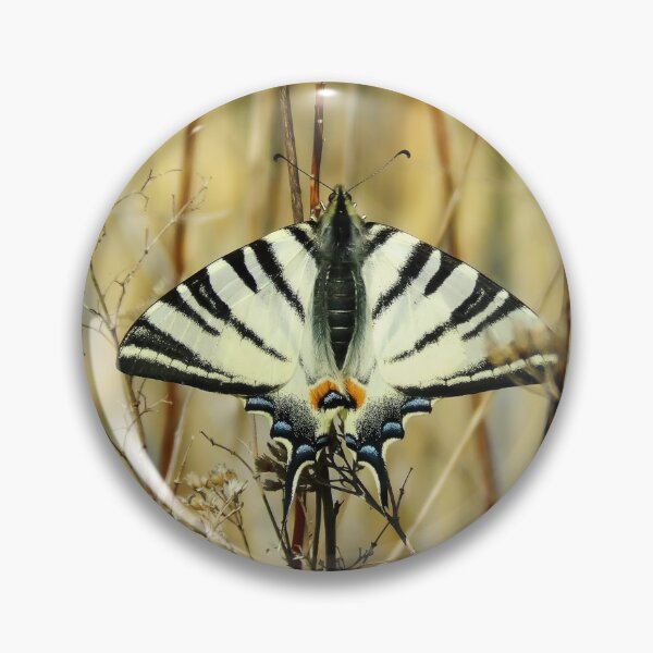 Item preview, Butterfly 5 designed and sold by Guardi71.