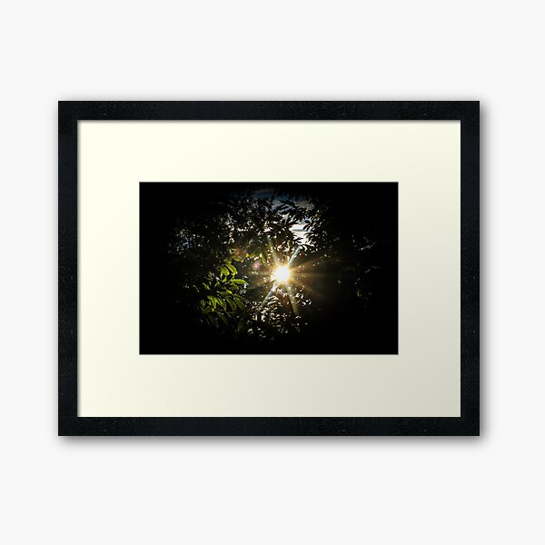 A Light In The Dark Framed Art Print