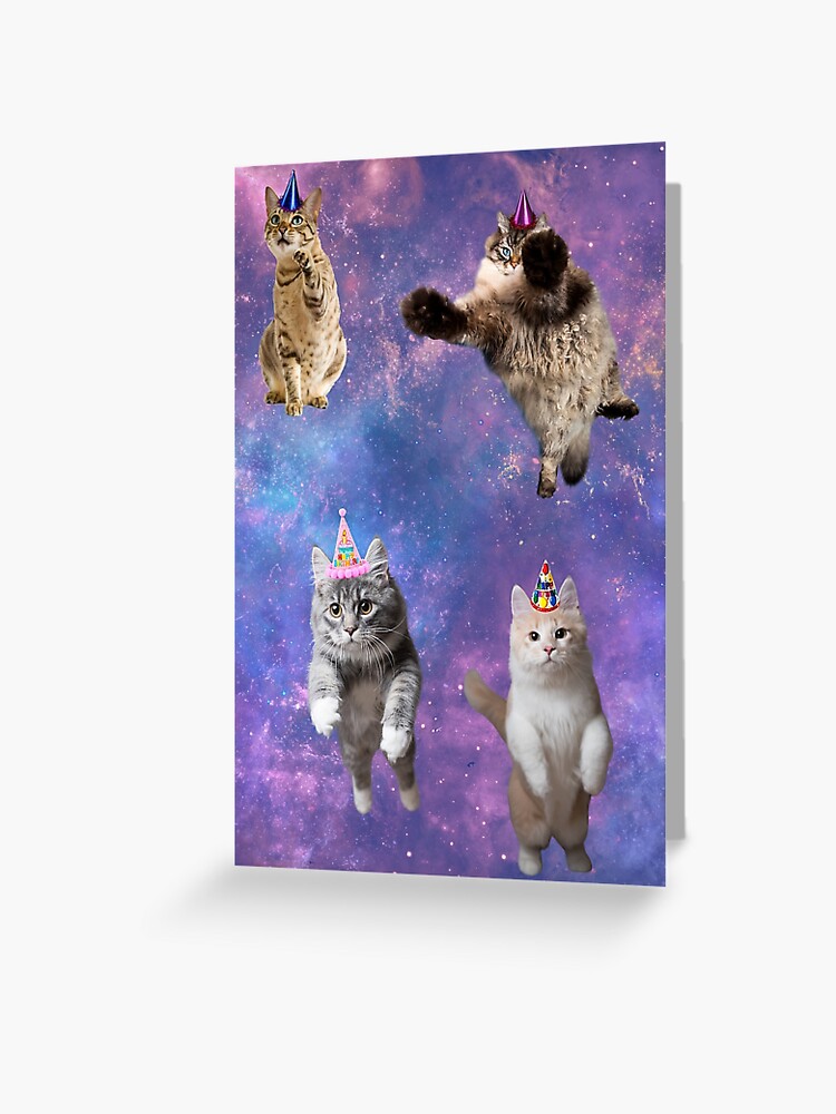 Taco the Cat Funny Birthday Card for Her - Greeting Cards