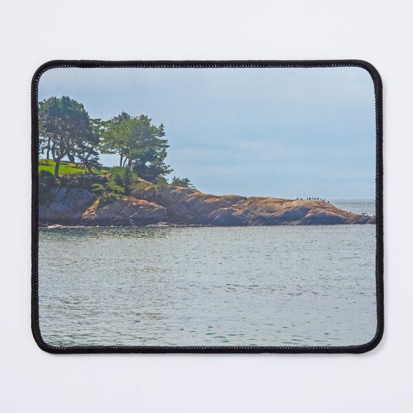 Item preview, Rocky Coastline designed and sold by Ruth Curtis.