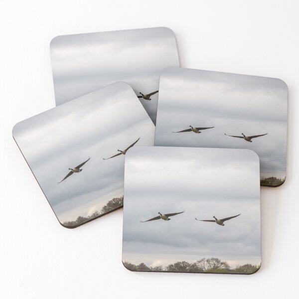 Item preview, Fly in Formation designed and sold by KLloydPhotos.