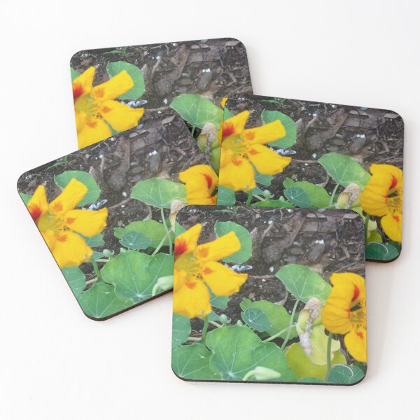Item preview, Nasturtiums designed and sold by Shulie1.