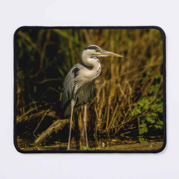Item preview, Gray heron designed and sold by Guardi71.