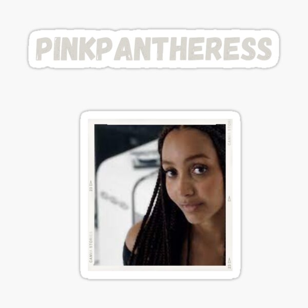 Pinkpantheress Album Cover Stickers for Sale