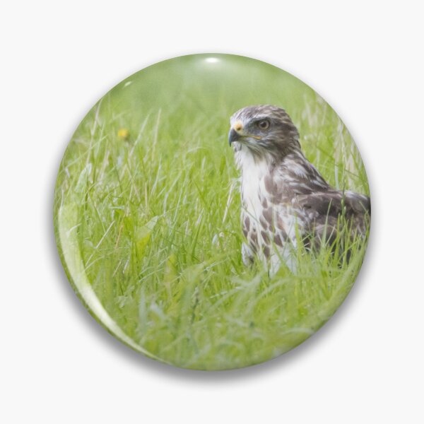 Item preview, Buzzard designed and sold by LaurenTucker.