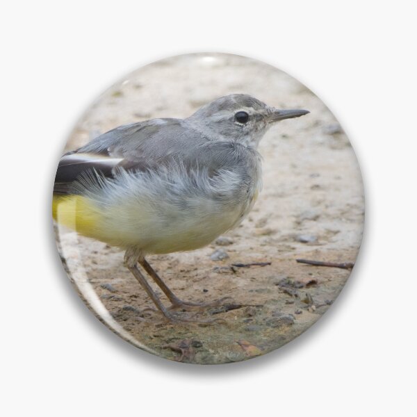 Item preview, Grey Wagtail designed and sold by LaurenTucker.