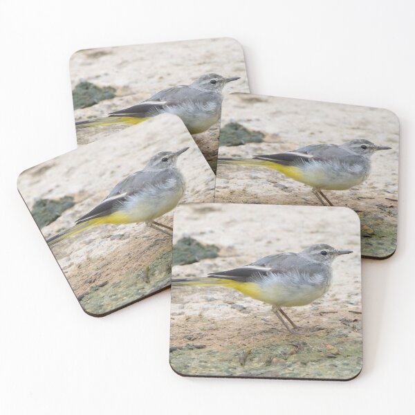 Item preview, Grey Wagtail designed and sold by LaurenTucker.