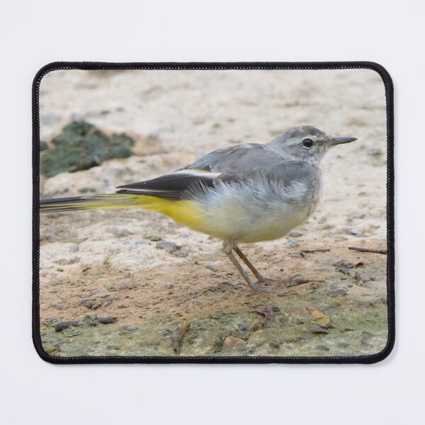 Item preview, Grey Wagtail designed and sold by LaurenTucker.