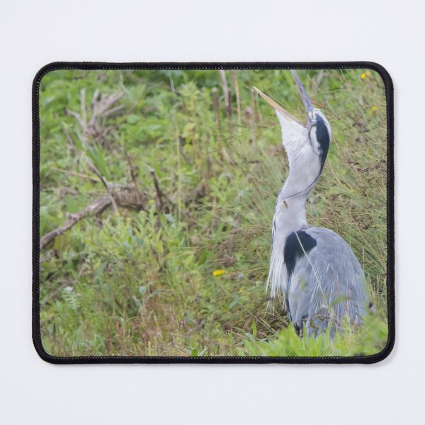Item preview, Grey Heron designed and sold by LaurenTucker.