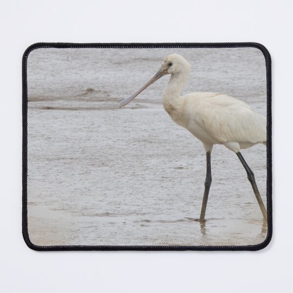 Item preview, Spoonbill designed and sold by LaurenTucker.
