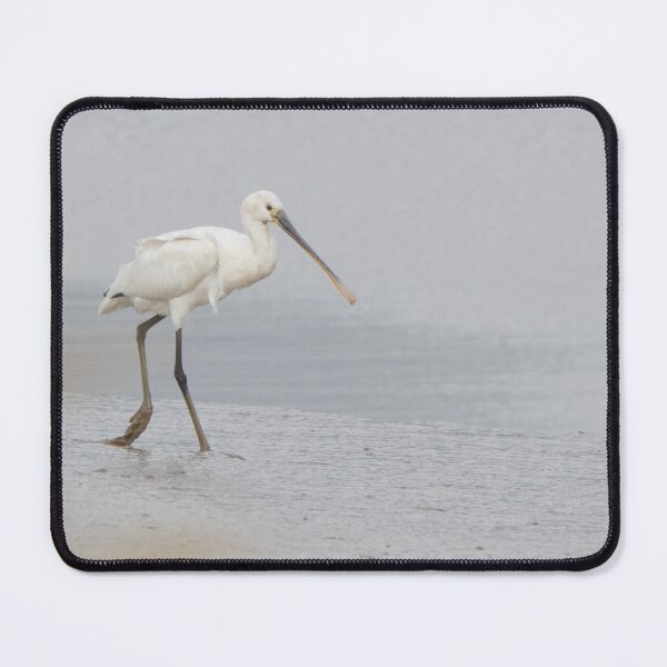 Item preview, Spoonbill designed and sold by LaurenTucker.