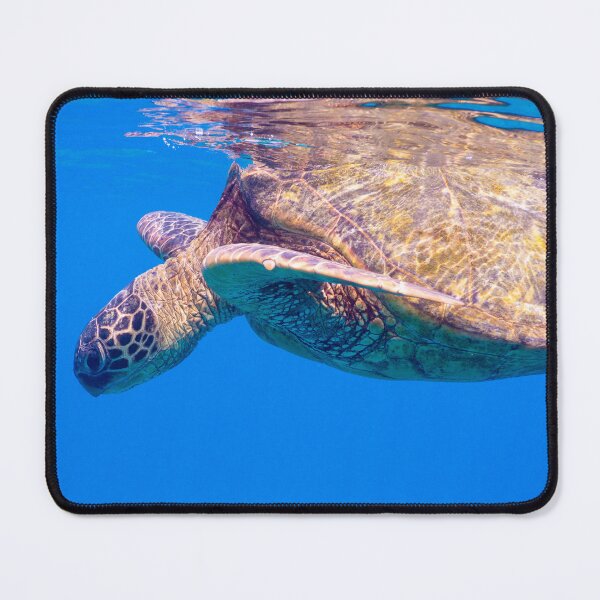 Item preview, Swimming with ancients designed and sold by rinphoto.