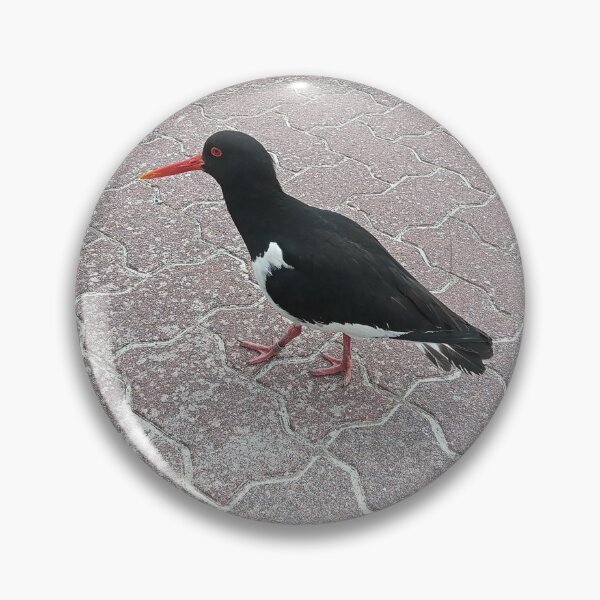 Item preview, oystercatcher designed and sold by gesa118.