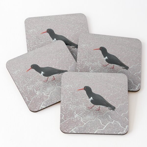 Item preview, oystercatcher designed and sold by gesa118.
