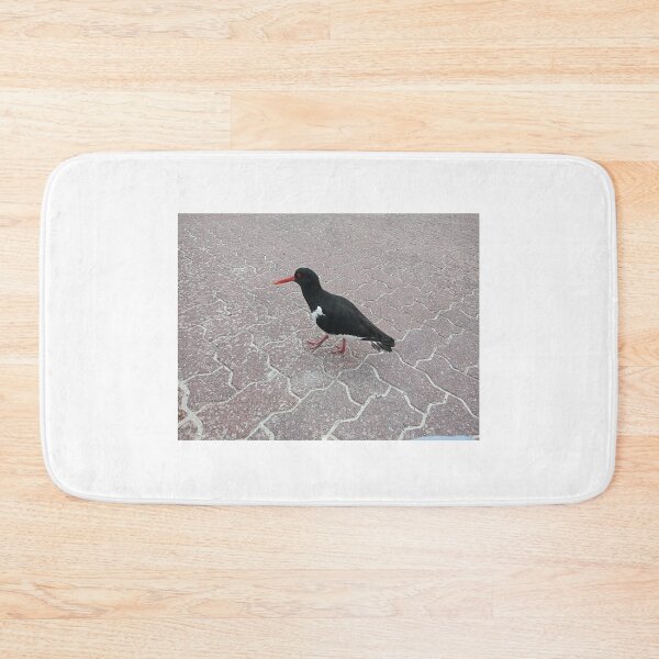 Item preview, oystercatcher designed and sold by gesa118.
