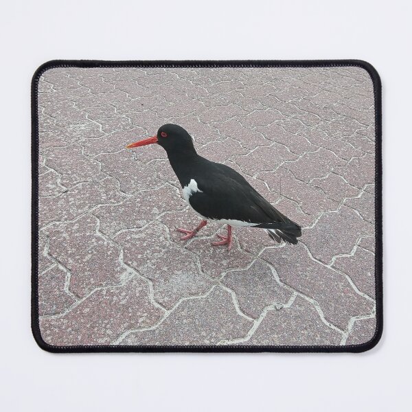 Item preview, oystercatcher designed and sold by gesa118.