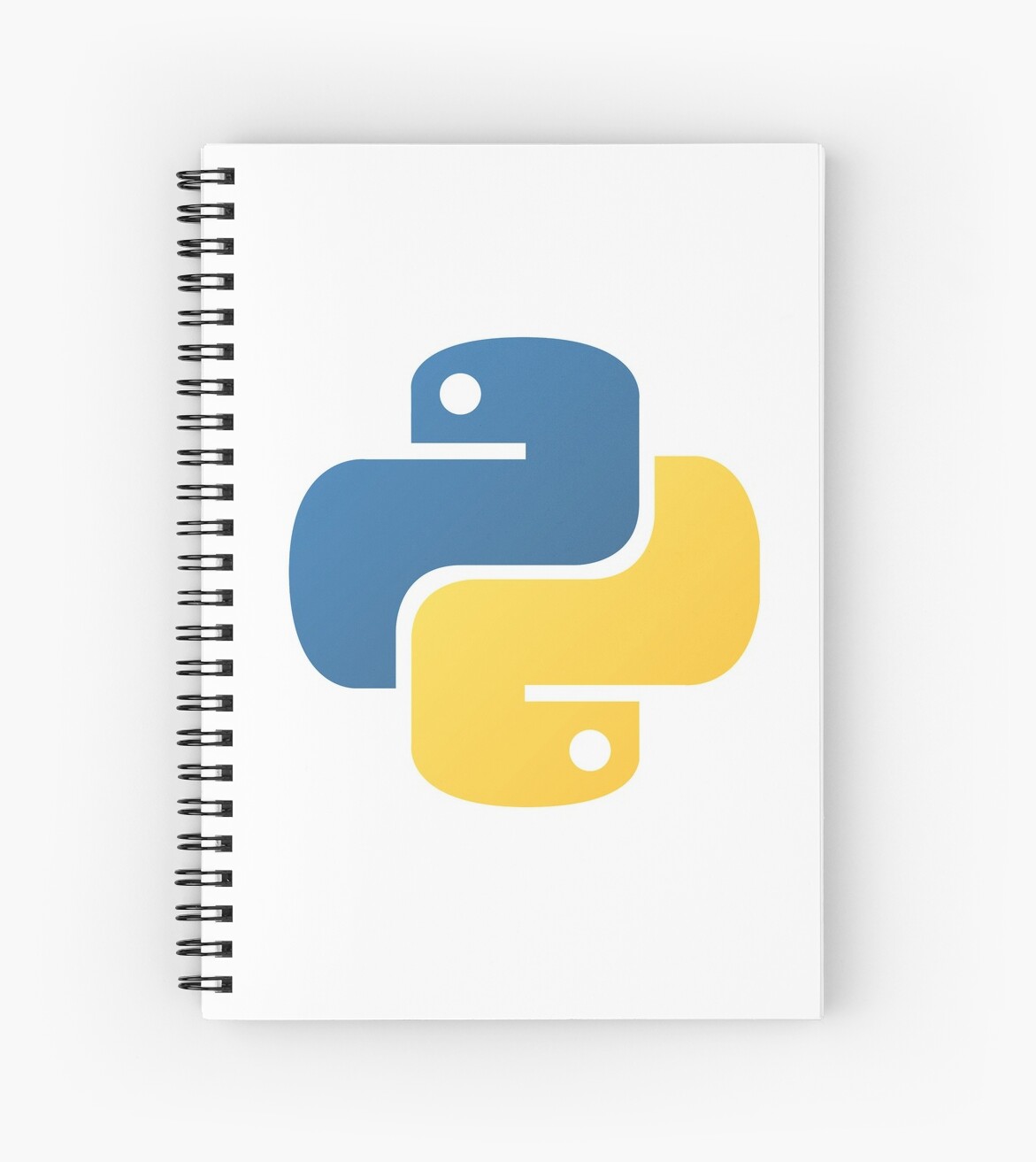 python notebook