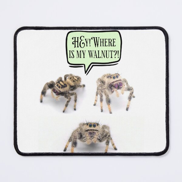 Item preview, Jumping Spider looking for walnut designed and sold by RemoteStudio.