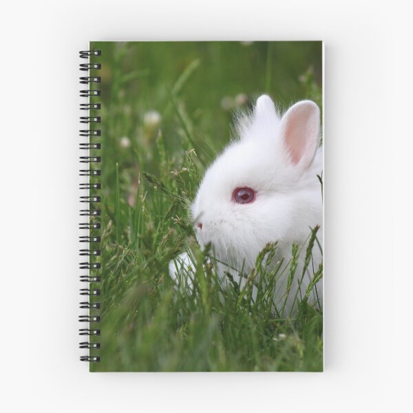 Item preview, dwarf white bunny designed and sold by goceris.