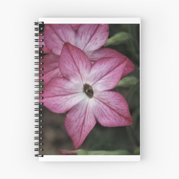 Item preview, Flover designed and sold by Sandy-shops.