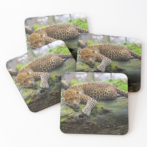 Item preview, Javan Leopard designed and sold by AeMPhoto.