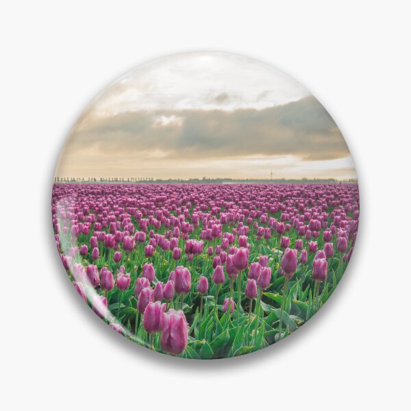 Item preview, Sunrise Serenade: Purple Tulips of Netherlands designed and sold by MilesRite.