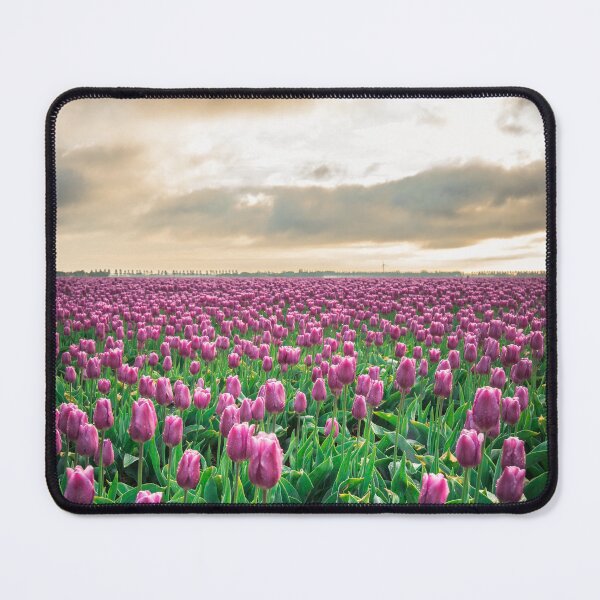 Item preview, Sunrise Serenade: Purple Tulips of Netherlands designed and sold by MilesRite.