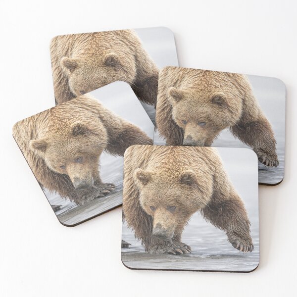 Item preview, Close Encounter with a Brown Bear Alaska designed and sold by PhotoArt by Joan Carroll.