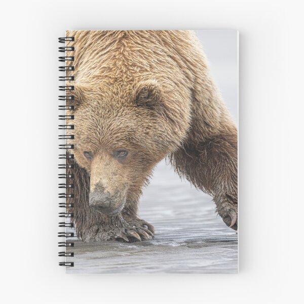 Item preview, Close Encounter with a Brown Bear Alaska designed and sold by PhotoArt by Joan Carroll.